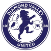 Diamond Valley United